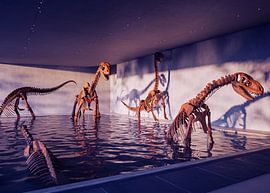 Dinosaur Museum Display by Artkreator