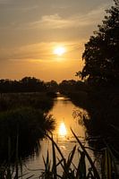Sunset by stream with grass in foreground