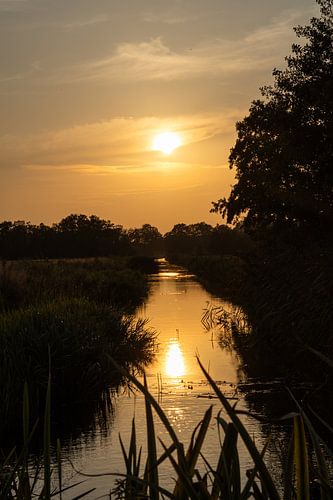 Coucher de soleil au bord d'un ruisseau avec de l'herbe au premier plan