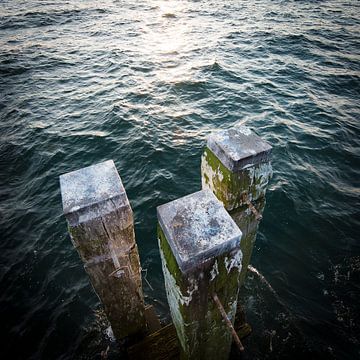 Duckdalben piles on the Baltic Sea