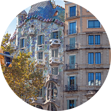 Barcelona - Casa Batlló van t.ART