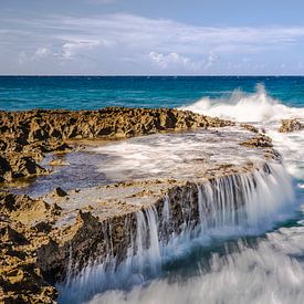 Cudarebe Aruba van Harold van den Hurk