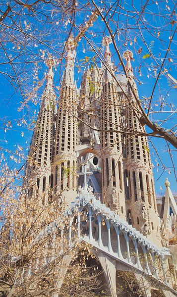 Barcelona by Hello Pompoyo