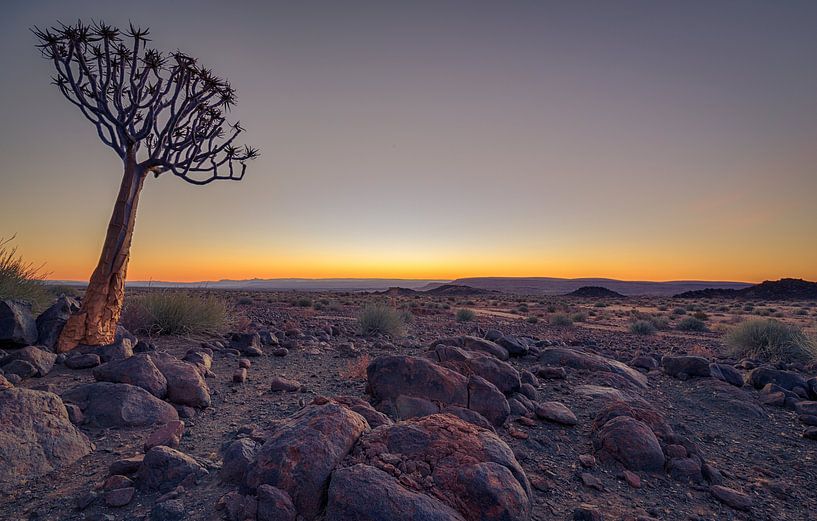 arbre tubulaire au coucher du soleil par Ed Dorrestein