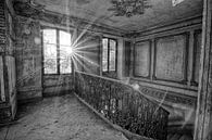 Chateau Secession (black and white) by Rens Bok thumbnail