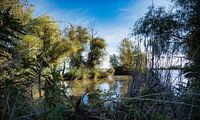 Hortobágyi Nemzeti Park Ungarn
