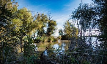 Hortobágyi Nemzeti Park Hongarije