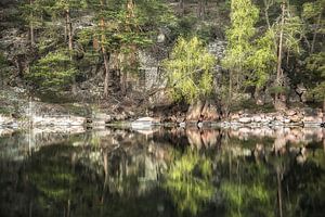 Reflexion der Natur