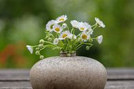 Stillleben mit Gänseblümchen in einer Vase von anne droogsma Miniaturansicht