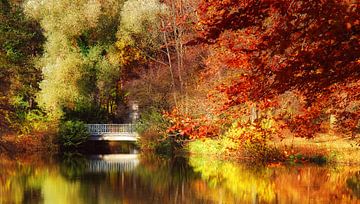 Herbst von Violetta Honkisz