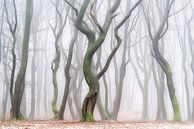 Early Morning Shuffle von Lars van de Goor Miniaturansicht