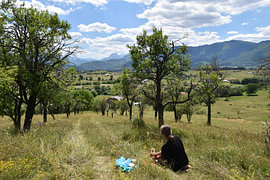 Picknick in einem montenegrinischen Obstgarten von Erik Buitenhuis