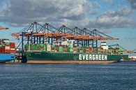 Container ship Ever Gifted by Evergreen. by Jaap van den Berg thumbnail