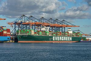 Containerschiff Ever Gifted von Evergreen.