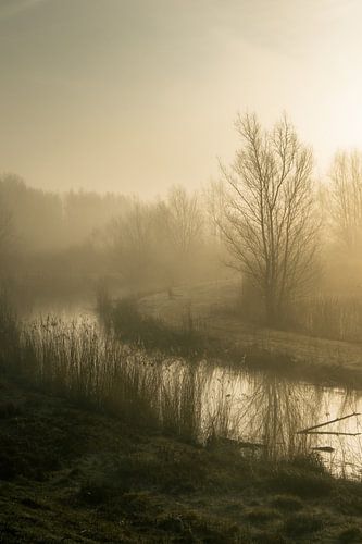 Silence along the water