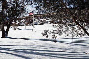 Amerikaanse vlag in een besneeuwd landschap van Alex de Bolivar