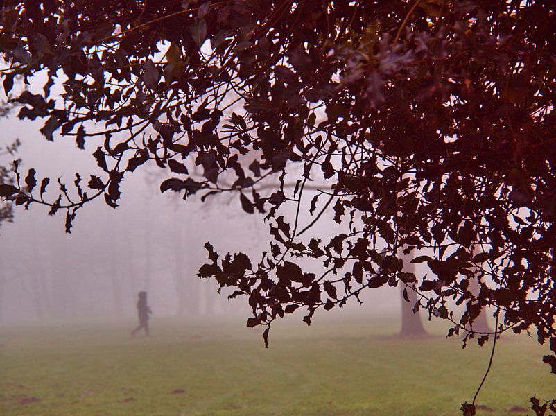 Haze 2 par Edgar Schermaul