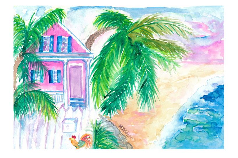 Key West Conch House en strand met Cock van Markus Bleichner