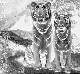 Tigers "Monochrome " by Truckpowerr