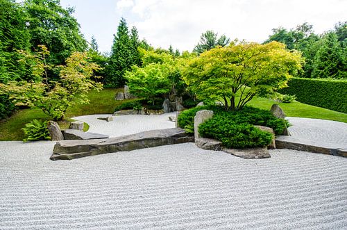 Jardin zen japonais avec gravier et érable sur Alexander Baumann