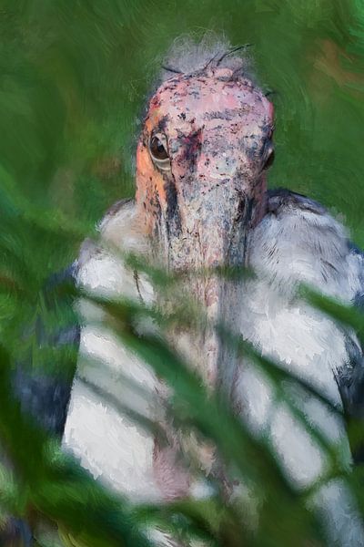 Marabout africain par Alida van Luijn-Toet