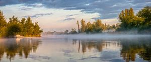 Morning glow in the Biesbosch by Frans Lemmens