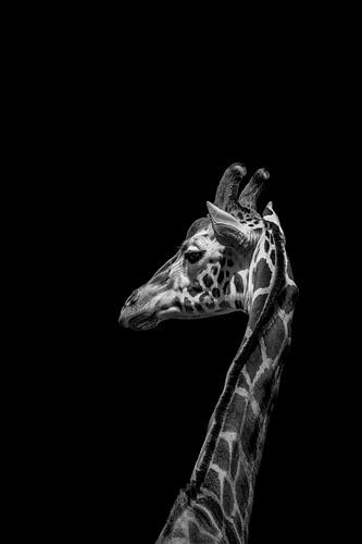 Ik ben niet gelukkig