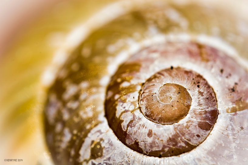 The twist von Henry van Schijndel