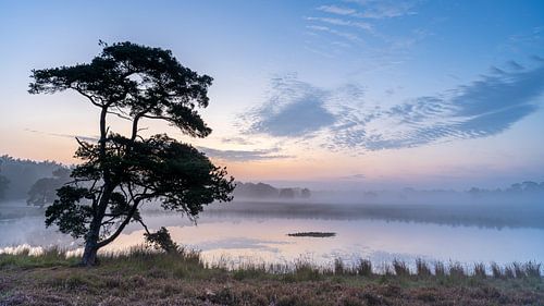 Zonsopgang Vennetje Bakkeveen