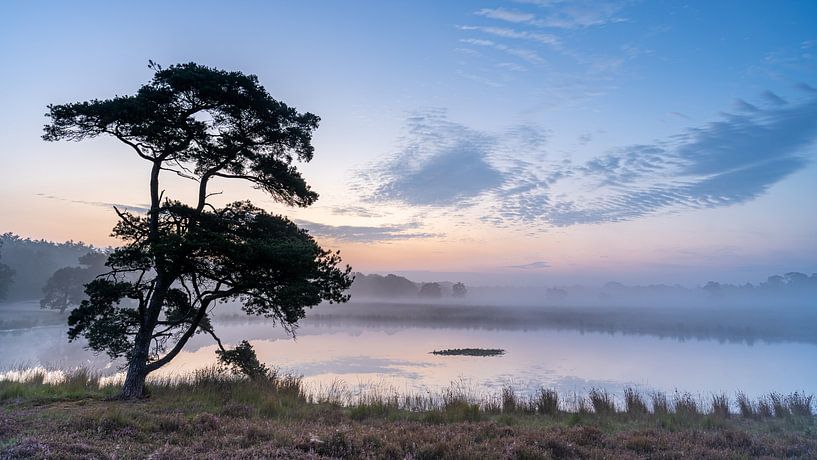 Sunrise Heath Bakkeveen by Scandinavian Photography