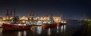 Panorama bei Nacht im Hamburger Hafen von Jonas Weinitschke