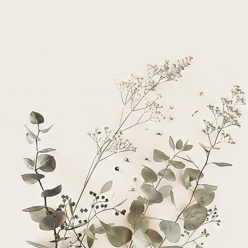 Eucalyptus en gipskruid