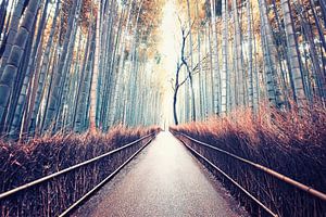 Das verborgene Kyoto