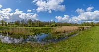 Pano Oppad, Kortenhoef, Wijdemeren, Netherlands van Martin Stevens thumbnail