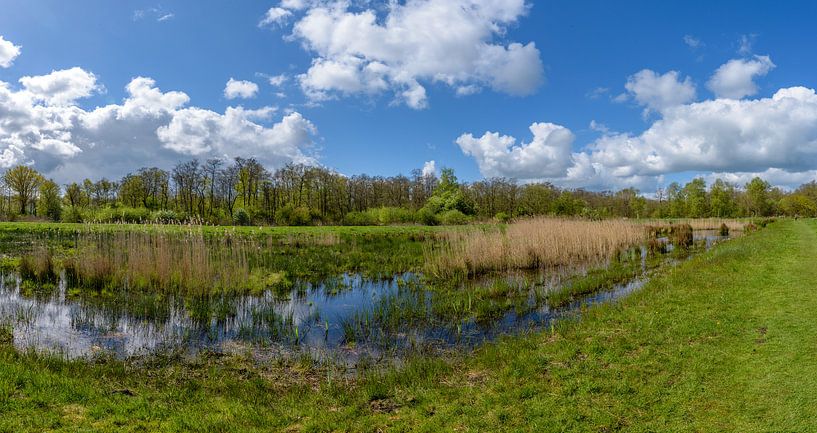 Pano Oppad, Kortenhoef, Wijdemeren, Netherlands by Martin Stevens