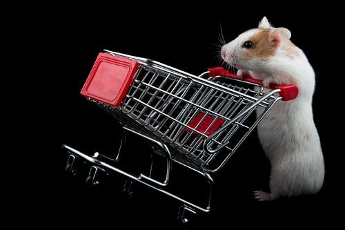 Hamster gaat shoppen