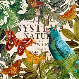 Butterflies in happiness by christine b-b müller