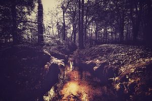 Autumnmood - 1