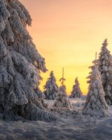 België Lapland