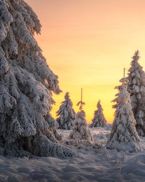 Belgien Lappland von Erel Turkay