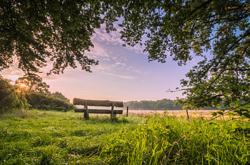 Bank bij zonsopkomst, Bergen op Zoom