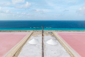 Tussen roze zout en de blauwe zee van Bonaire