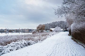 Uitzicht over de Warnow naar Rostock in de winter