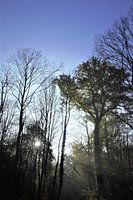 Sun Comes Through