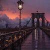 Brooklyn Bridge op een vroege ochtend na een regenbui van Nico Geerlings