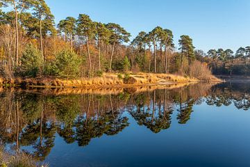 Reflet majestueux dans l'eau.