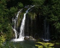 Chute d'eau de Rastoke en Croatie avec fougère au premier plan