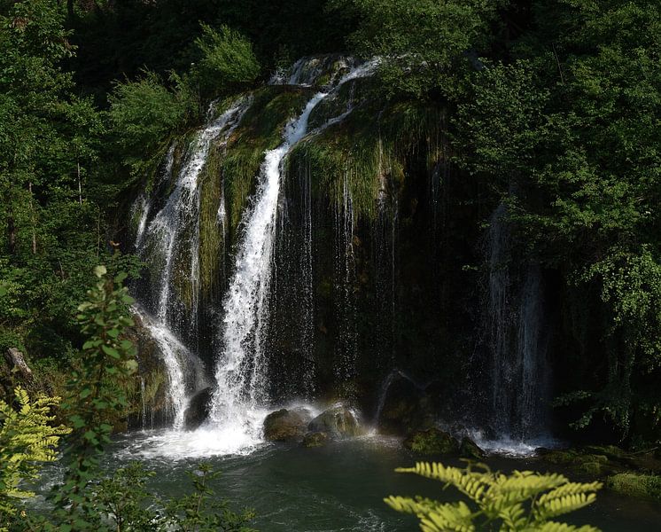 Chute d'eau de Rastoke en Croatie avec fougère au premier plan par Annette van der Aa