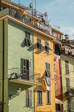 Colors of Cinque Terre van Lima Fotografie
