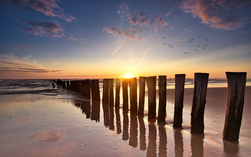 birds fly by the notch by peterheinspictures